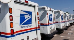 Rear view of several USPS mail trucks parked in a row.
