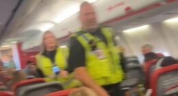 'Uncontrollable' passengers hauled off plane after downing vodka