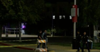 University of New Mexico students warned to shelter in place after one shot dead with fears suspect is still on campus