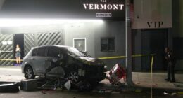 Vehicle drives into a crowd in Los Angeles, injuring 30 people, including at least 3 critically