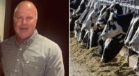 Victims of 'Bernie Madoff of cows' take on major banks in massive ghost cattle Ponzi scheme