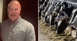 Victims of 'Bernie Madoff of cows' take on major banks in massive ghost cattle Ponzi scheme