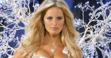 Victoria's Secret vet Karolina Kurkova, 41, still looks sensational