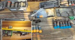 Virginia man Brad Spafford pleads guilty after 150 pipe bombs are seized from home