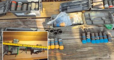Virginia man Brad Spafford pleads guilty after 150 pipe bombs are seized from home