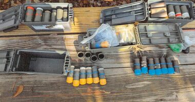 Virginia man who cheered 'political assassinations' pleads guilty after 150 pipe bombs are seized from home