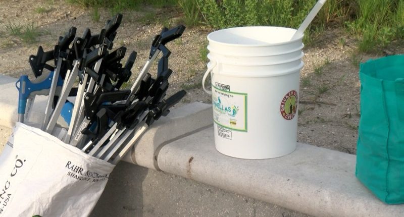 Volunteers show up for after the Fourth beach cleanup at Treasure Island