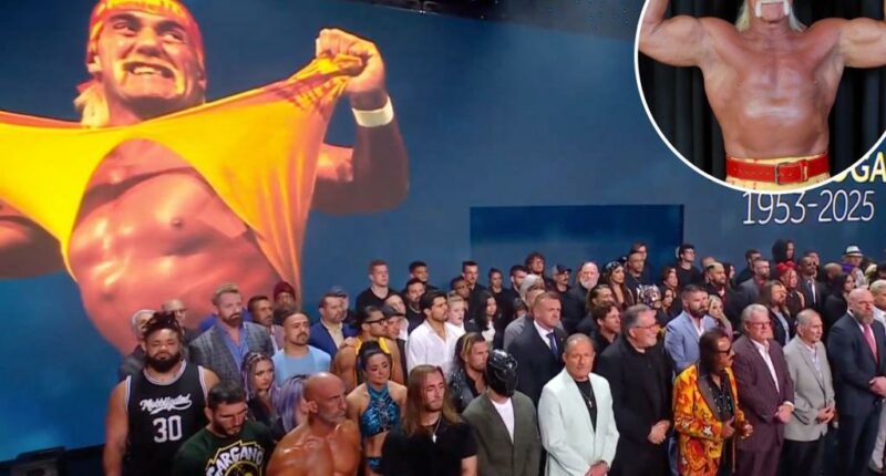 WWE delivers emotional Hulk Hogan tribute at SmackDown