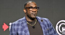 What Is Ex-NFL Star Shannon Sharpe Net Worth 2025? More About His Career And Personal Life