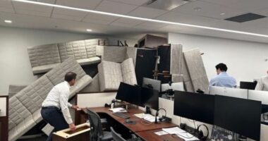 What YOU should do if an active shooter storms your building