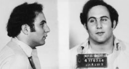 Police mug shot showing the front view and profile of convicted New York City serial killer David Berkowitz, known as the 'Son of Sam'. (Photo by Hulton Archive/Getty Images)