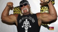 Who was Hulk Hogan, iconic WWE wrestler?