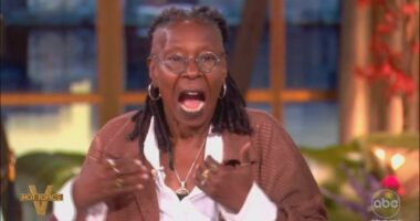 Whoopi Goldberg whines on The View about her multi-million dollar gig