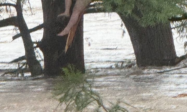 Girl clinging to a tree in floodwaters.
