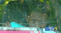 Person seen through a car window.