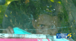Person seen through a car window.
