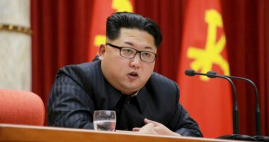 Woman learns fate after DOJ guilty plea admitting she helped North Korean tech workers infiltrate US companies