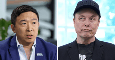 Yang says he’s been ‘in touch’ with Musk on America Party