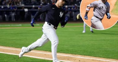 Yankees trade catcher Alex Jackson to Orioles as Austin Wells breaks out of slump