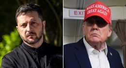 Zelenskyy touts 'fruitful' Trump call after US president was 'disappointed' by Putin talk