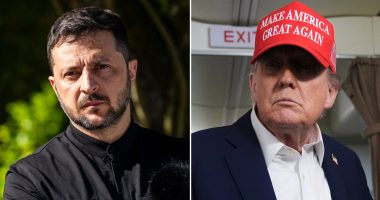 Zelenskyy touts 'fruitful' Trump call after US president was 'disappointed' by Putin talk