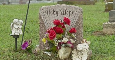 'Baby Hope' and her parents identified 31 years later: Police