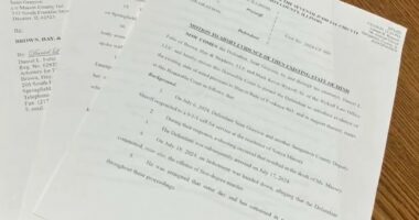 'Complete garbage'; Sonya Massey's family reacts to Grayson's motions of self-defense