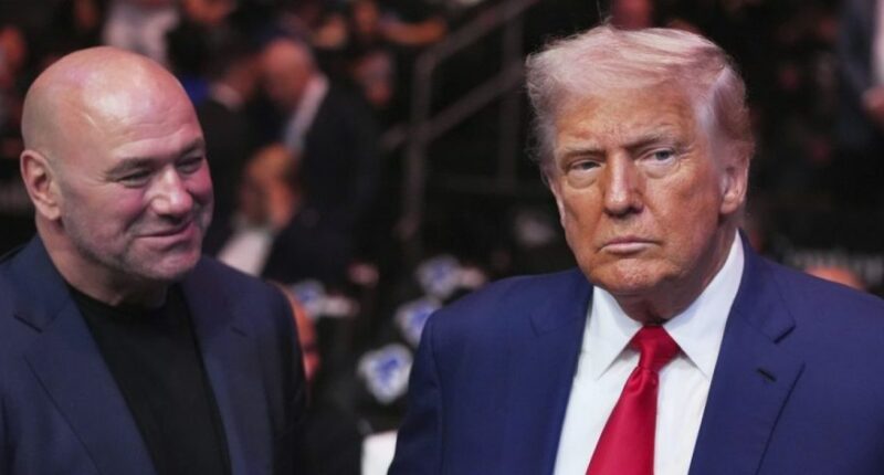 President Donald Trump attends the UFC-316 mixed martial arts event, at the Prudential Center, Saturday, June 7, 2025, in Newark, N.J., as UFC's Dana White, looks on. (AP Photo/Frank Franklin II)