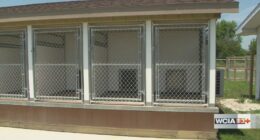 'Having more space... a cleaner space': Douglas Co. starting shelter renovations