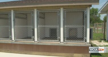 'Having more space... a cleaner space': Douglas Co. starting shelter renovations