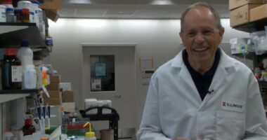 'It's really been a lifelong mission;' U of I professor speaks on trailblazing career