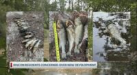 'It's ruined': Residents worry construction site is polluting neighborhood pond