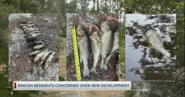 'It's ruined': Residents worry construction site is polluting neighborhood pond