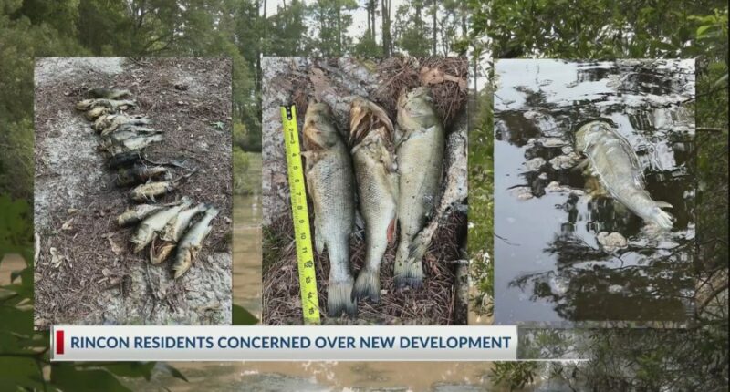 'It's ruined': Residents worry construction site is polluting neighborhood pond