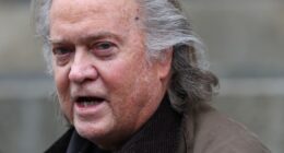 'Let me see the videotapes': Mark Epstein wants Steve Bannon's 15 hours of unseen footage of his brother