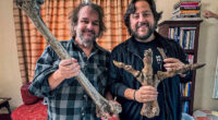 'Lord of the Rings' director backs long shot de-extinction plan, starring New Zealand's lost moa