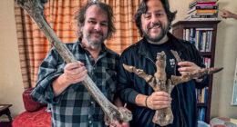 'Lord of the Rings' director backs long shot de-extinction plan, starring New Zealand's lost moa