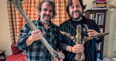'Lord of the Rings' director backs long shot de-extinction plan, starring New Zealand's lost moa