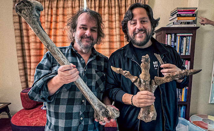 'Lord of the Rings' director backs long shot de-extinction plan, starring New Zealand's lost moa