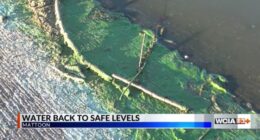 'Some things we could do better': Mattoon officials talk improvements after unsafe water issue