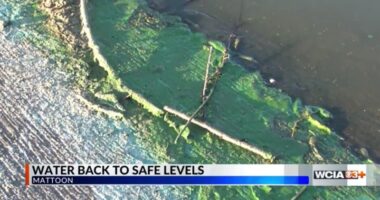 'Some things we could do better': Mattoon officials talk improvements after unsafe water issue