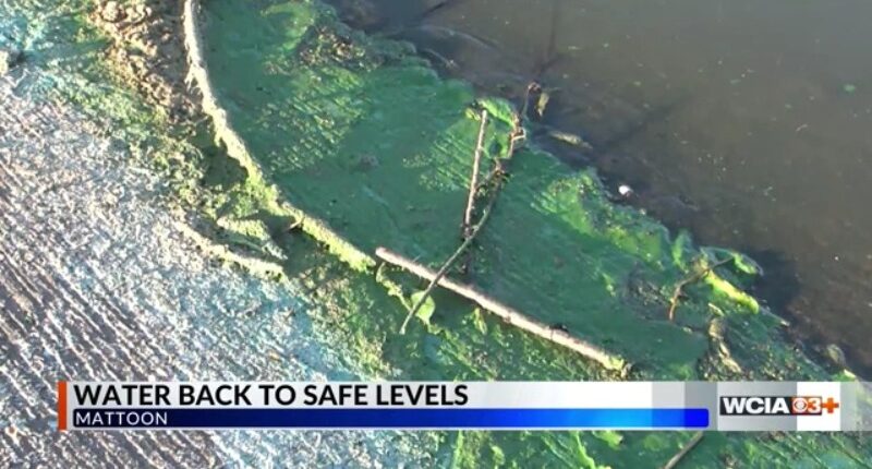 'Some things we could do better': Mattoon officials talk improvements after unsafe water issue