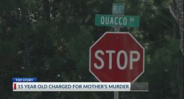'Terrifying and scary': 15-year-old charged in mother's murder