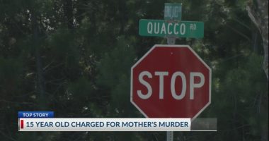 'Terrifying and scary': 15-year-old charged in mother's murder