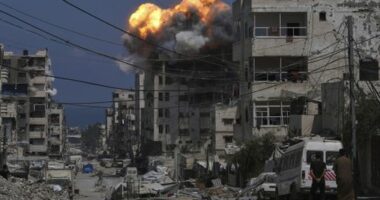 'The war in Gaza must end now': Australia and 24 nations condemn Israel