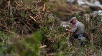 'The water came so fast': Texas resident on escape, rescue from floods