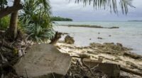 'Urgent and existential': UN's top court makes historic climate ruling
