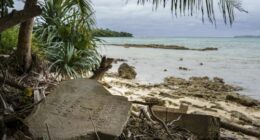 'Urgent and existential': UN's top court makes historic climate ruling