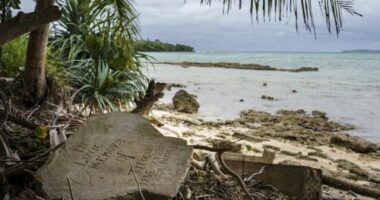 'Urgent and existential': UN's top court makes historic climate ruling