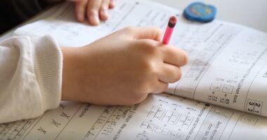 'We’re really in a pickle here': Tennessee prepares for potential federal funding cuts to K-12 education